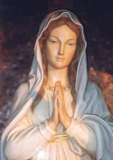 MARY QUEEN OF ALL HEARTS (Lyrics)